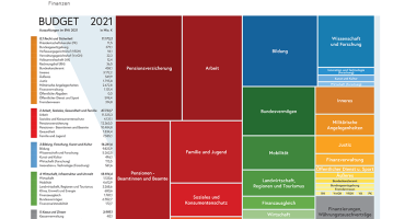 Das Budget im Überblick. Quelle: BMF, Budget 2021 im Überblick