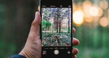 Hand hält ein Smartphone vor einem Wald. Foto: Pixabay