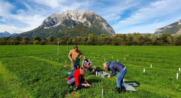 Probenfeld von "SatGrass" mit Grimming im Hintergrund